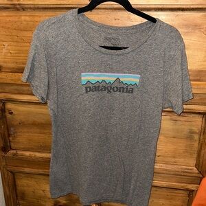Patagonia Heather Gray Tee with Mountain Graphic